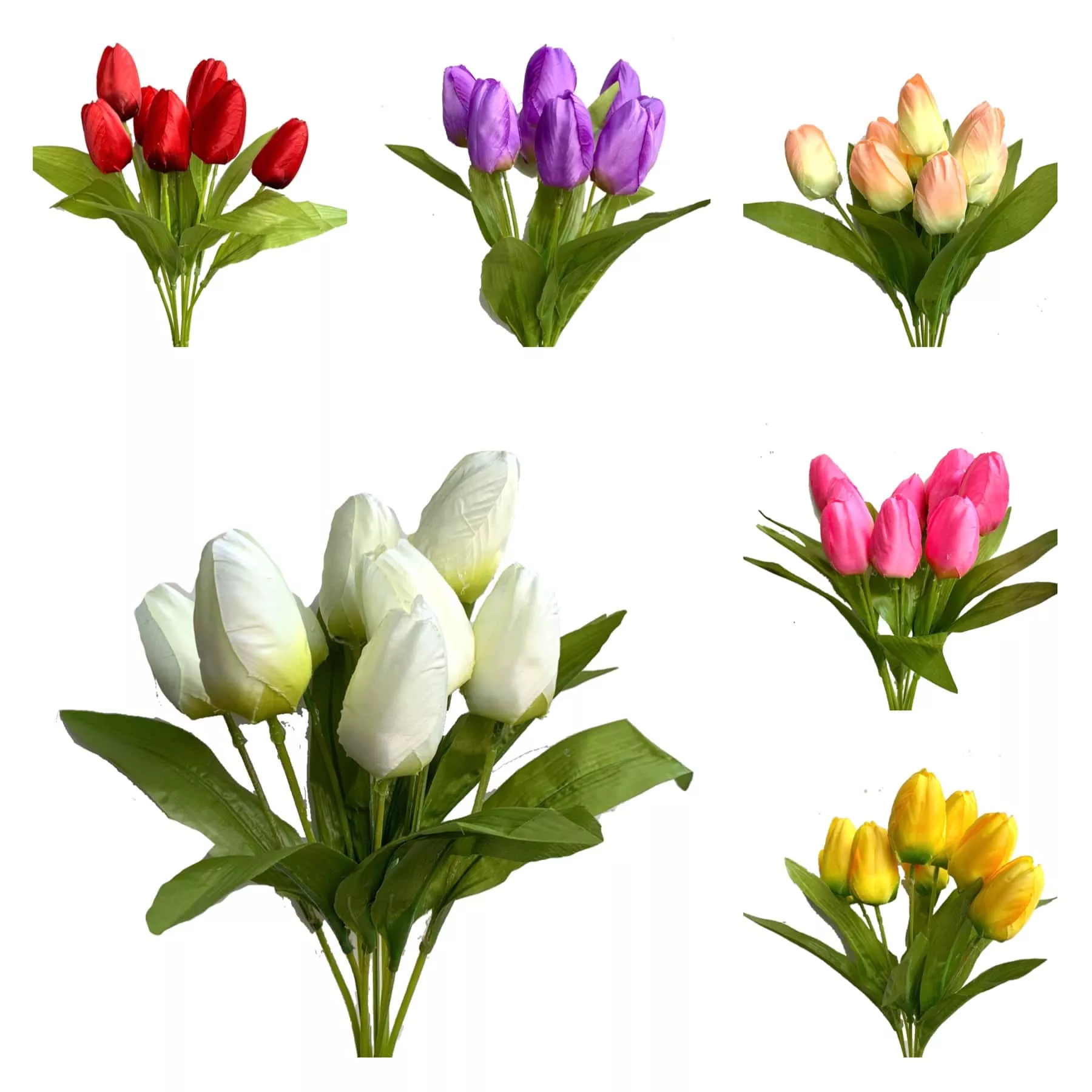 Detail Daun Bunga Tulip Nomer 9