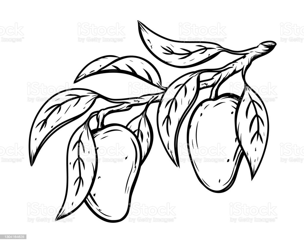 Detail Daun Clipart Black And White Nomer 44