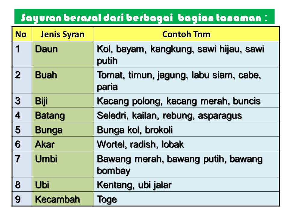 Detail Daun Contoh Tanaman Sayuran Nomer 14