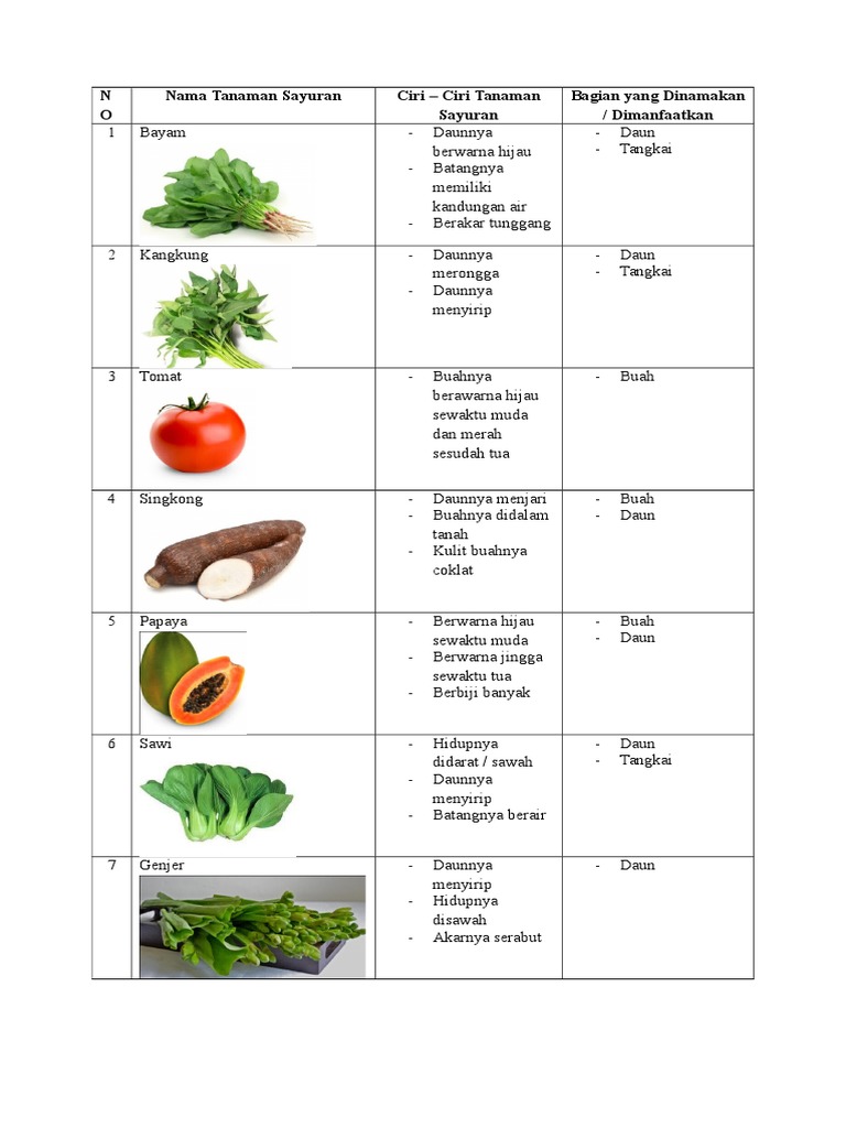 Detail Daun Contoh Tanaman Sayuran Nomer 6