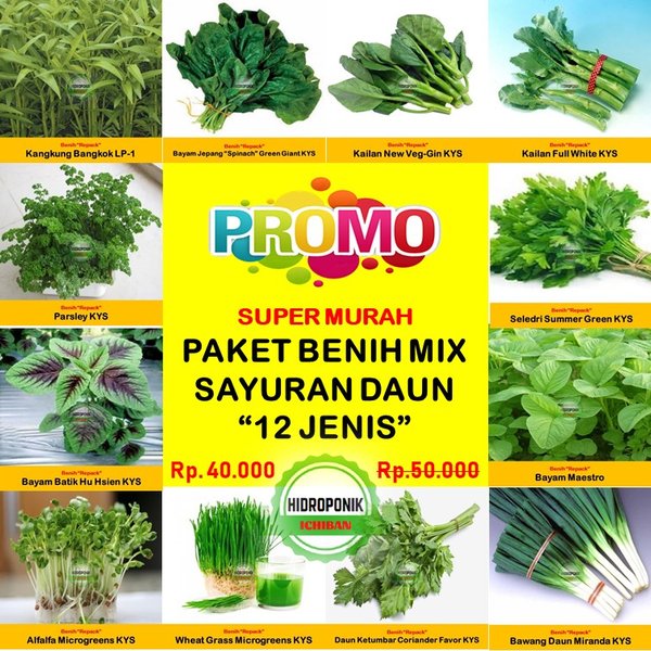 Detail Daun Contoh Tanaman Sayuran Nomer 51