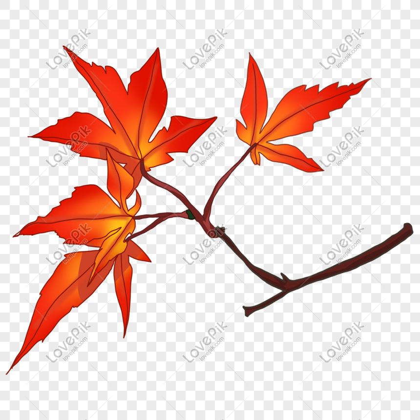 Detail Daun Dan Ranting Nomer 21