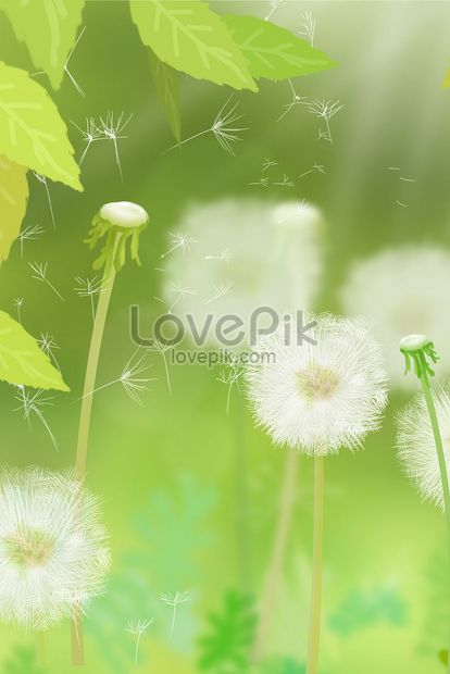 Detail Daun Dandelion Gambar Nomer 42