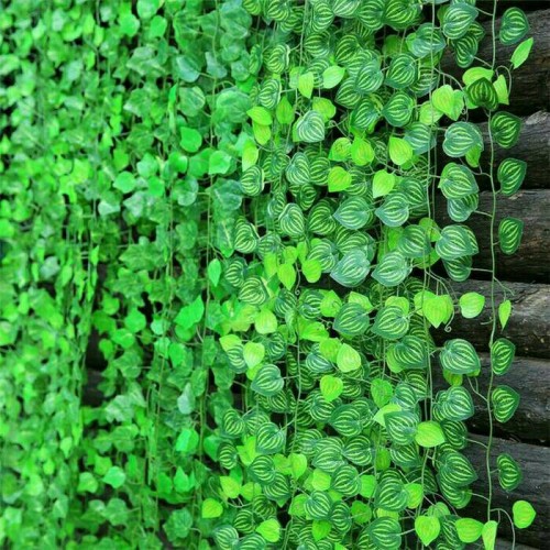 Detail Daun Daun Nomer 25
