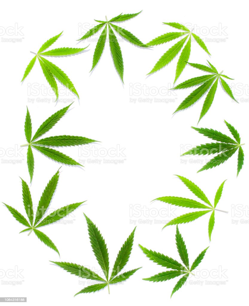 Detail Daun Ganja Wallpaper Nomer 37