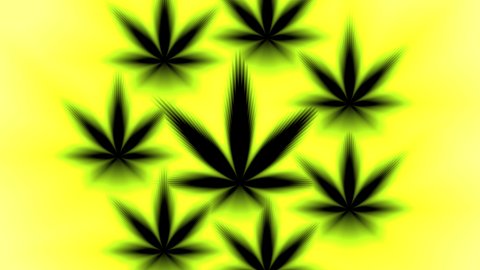 Detail Daun Ganja Wallpaper Nomer 42