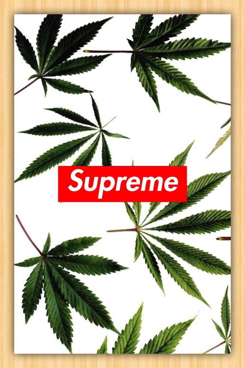 Detail Daun Ganja Wallpaper Nomer 6