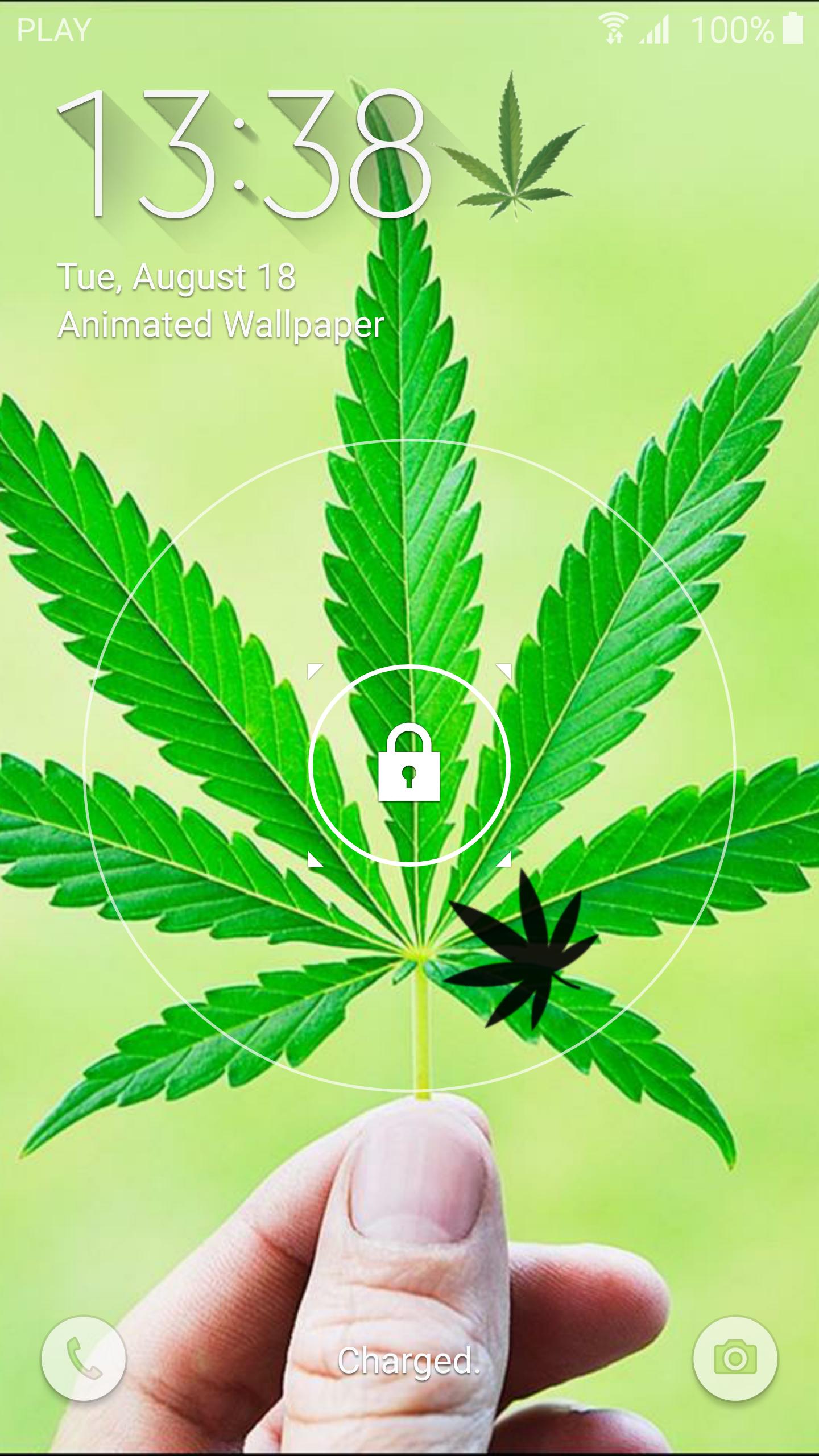 Detail Daun Ganja Wallpaper Nomer 55