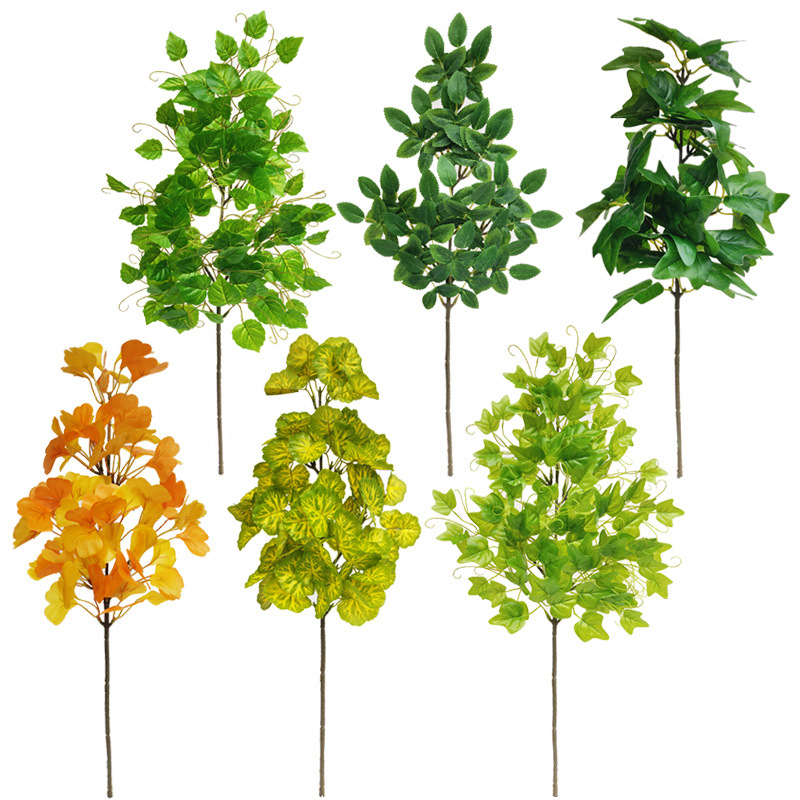 Detail Daun Ginkgo Biloba Nomer 39