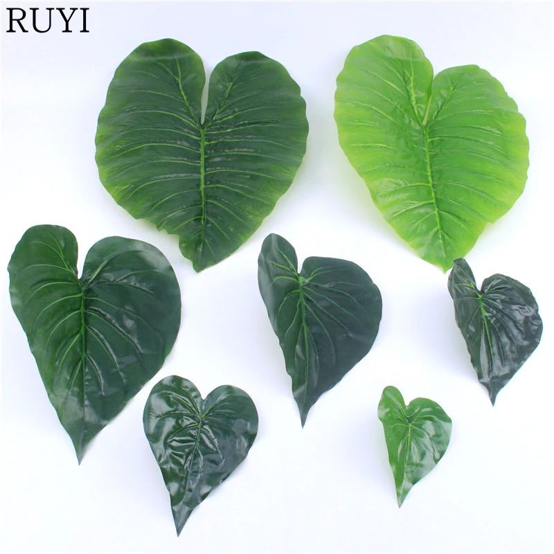 Detail Daun Hati Hati Nomer 6