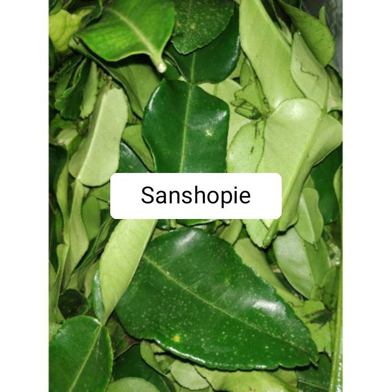 Detail Daun Jeruk Bali Nomer 36
