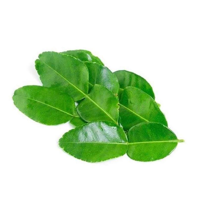Detail Daun Jeruk Bali Nomer 43