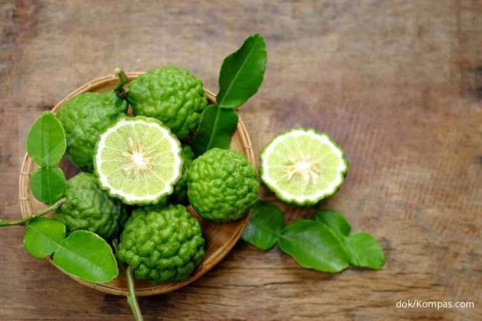 Detail Daun Jeruk Nipis Nomer 24