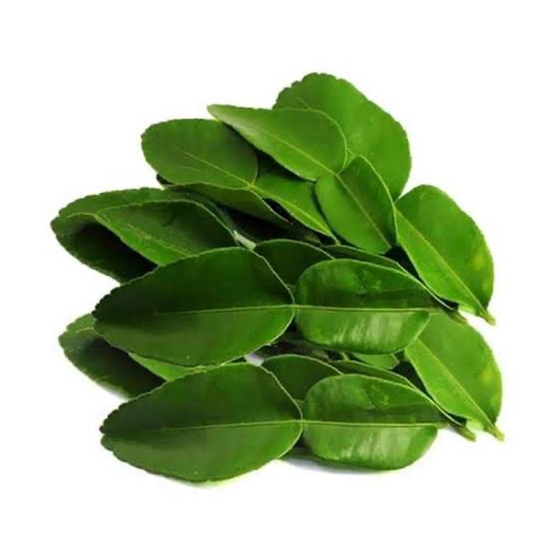 Detail Daun Jeruk Nipis Nomer 49