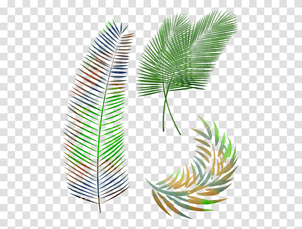 Detail Daun Kelapa Png Nomer 7