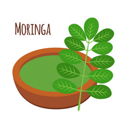 Detail Daun Kelor Vector Nomer 3