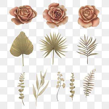 Detail Daun Kering Vector Nomer 14