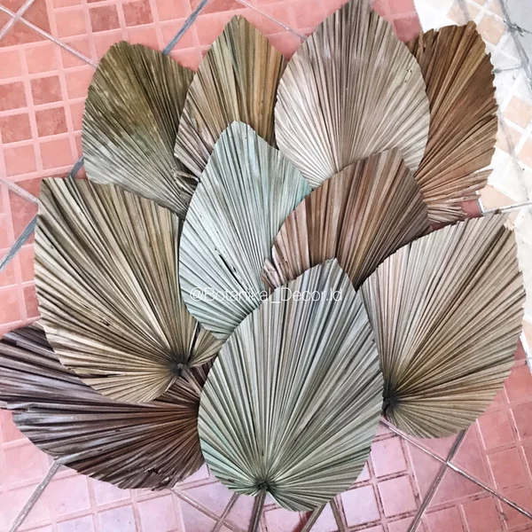 Detail Daun Kipas Kering Nomer 11