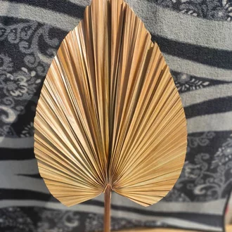 Detail Daun Kipas Kering Nomer 26