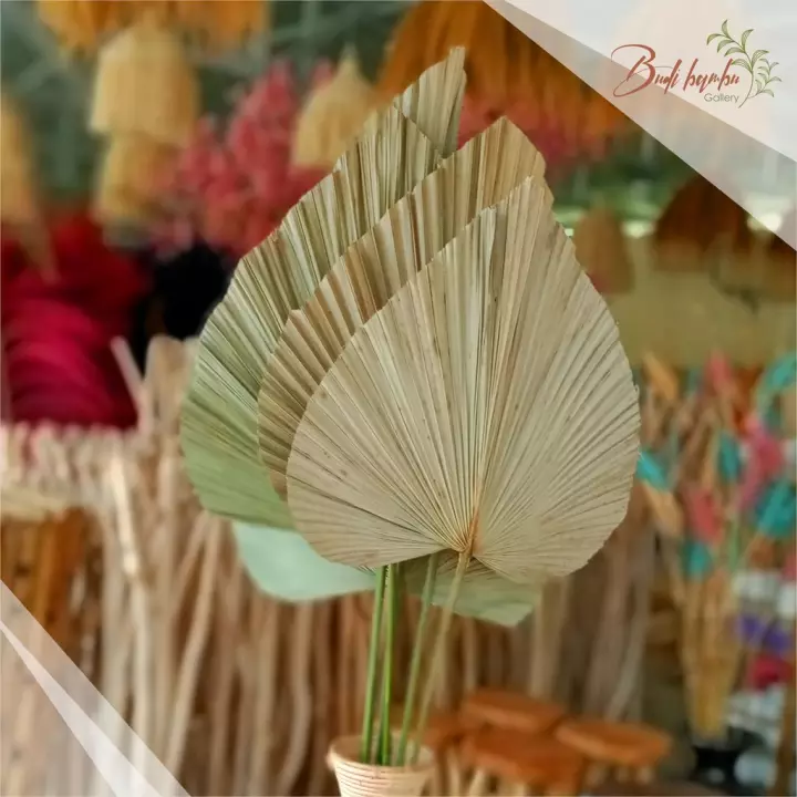 Detail Daun Kipas Kering Nomer 35