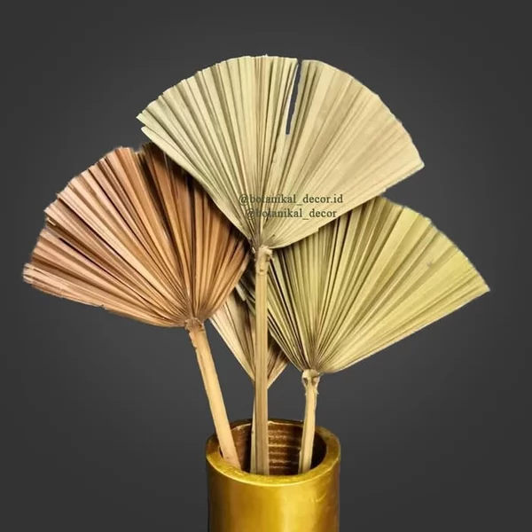Detail Daun Kipas Kering Nomer 53