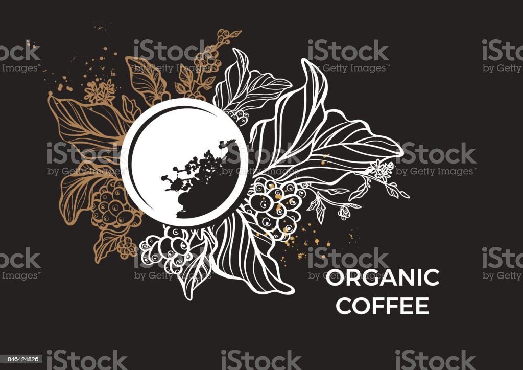 Detail Daun Kopi Vector Nomer 12