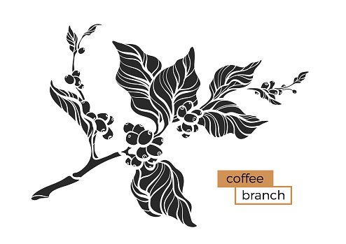 Detail Daun Kopi Vector Nomer 4