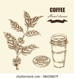 Detail Daun Kopi Vector Nomer 32