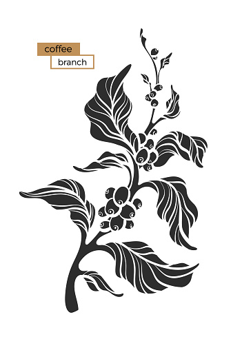 Detail Daun Kopi Vector Nomer 38