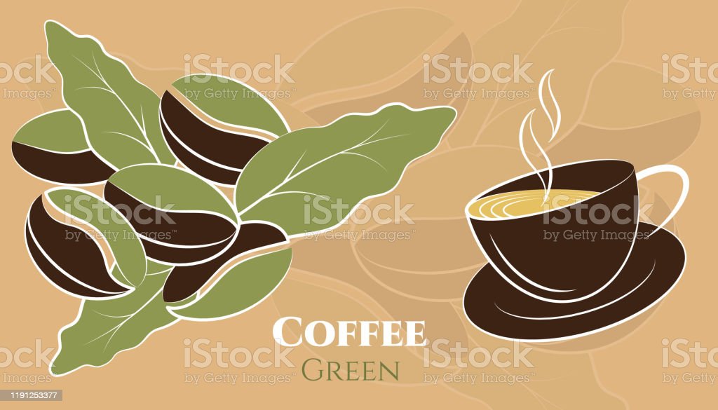 Detail Daun Kopi Vector Nomer 51