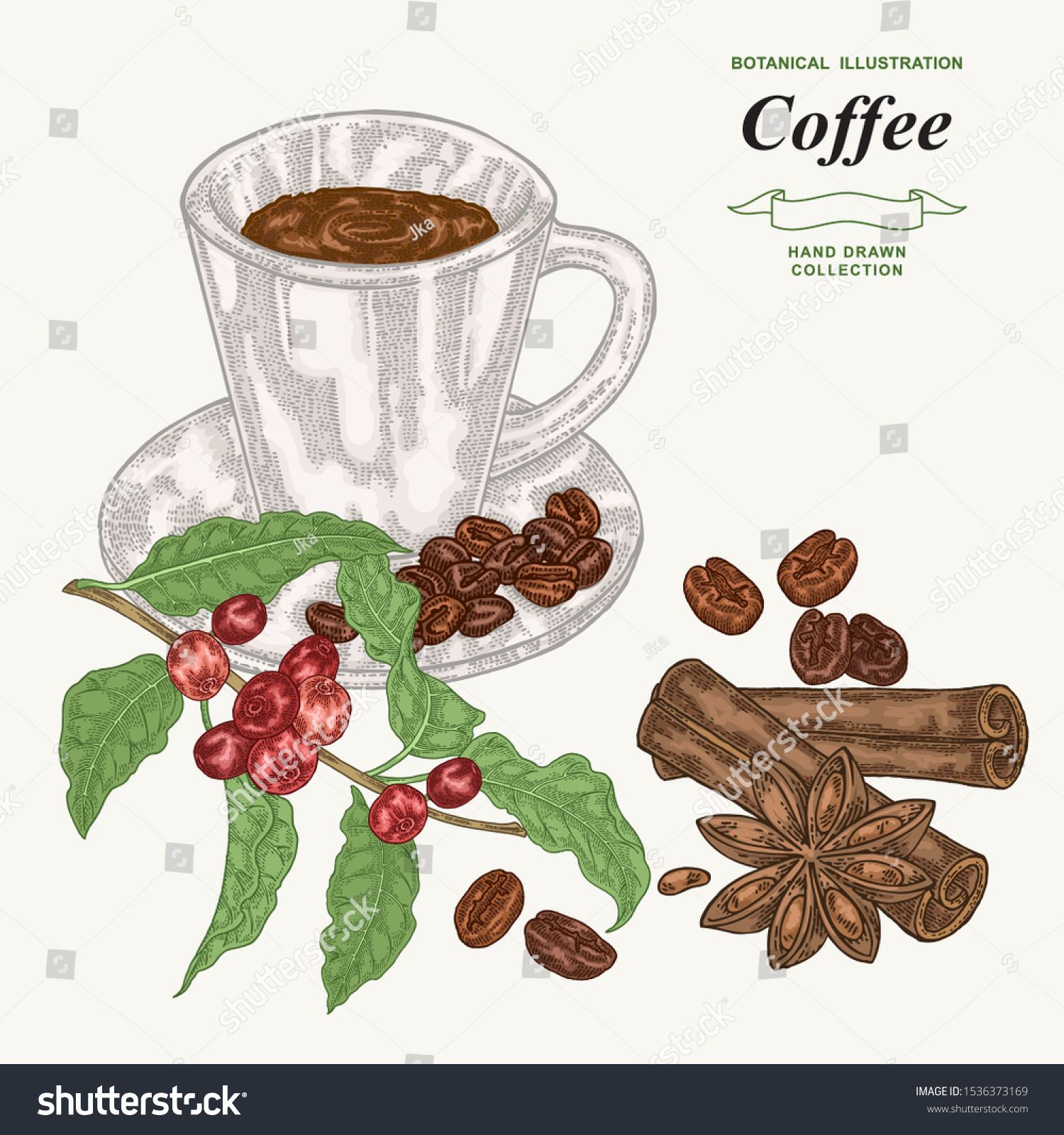 Detail Daun Kopi Vector Nomer 56