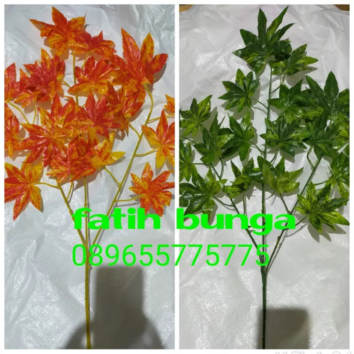 Detail Daun Maple Jepang Nomer 48