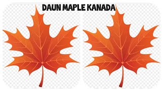 Detail Daun Maple Kanada Nomer 6