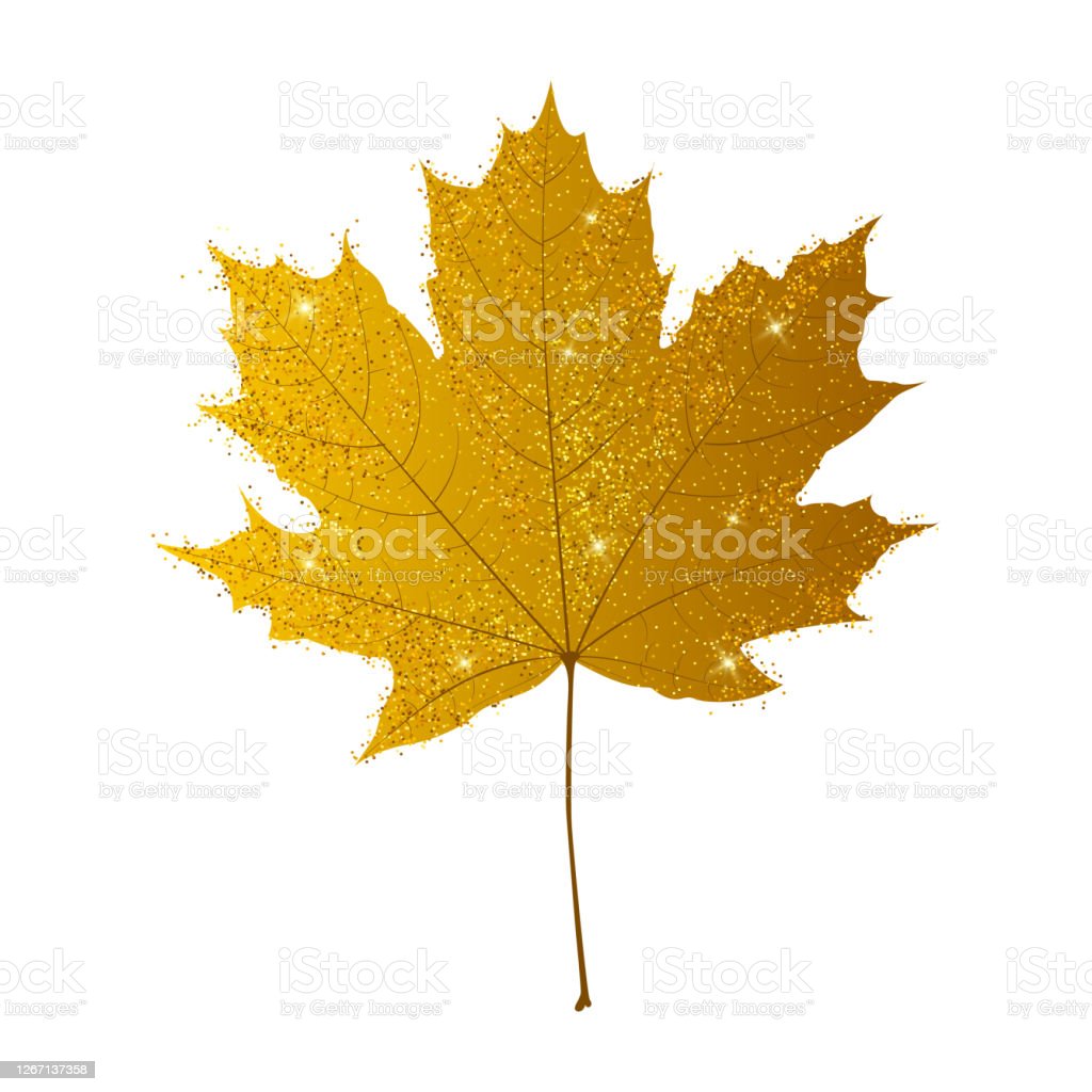 Detail Daun Maple Vector Nomer 14