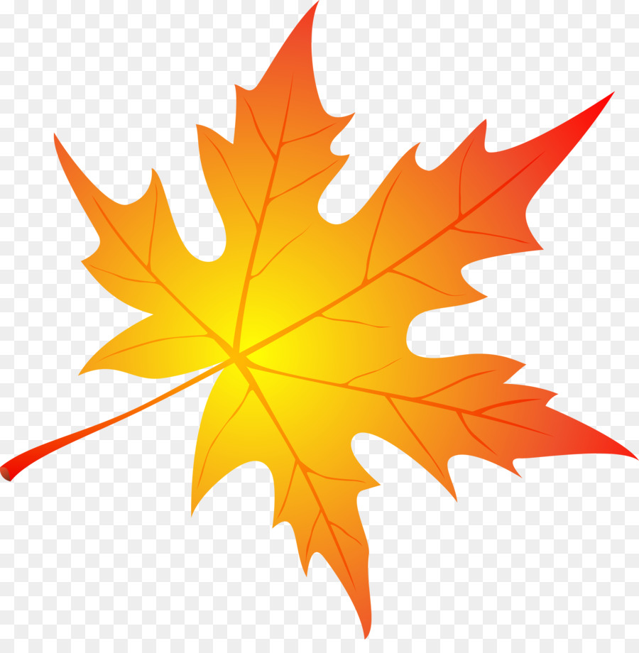 Detail Daun Maple Vector Nomer 3