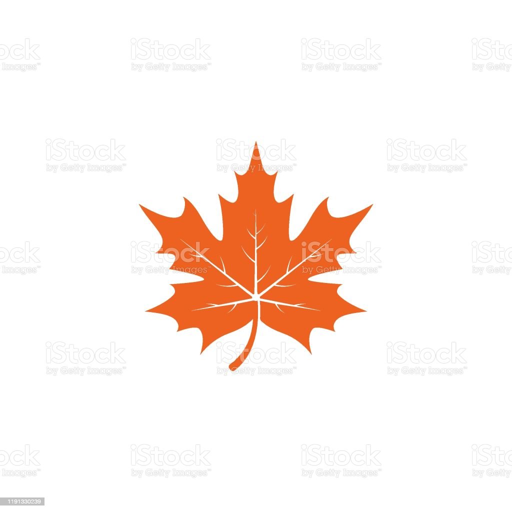 Detail Daun Maple Vector Nomer 23
