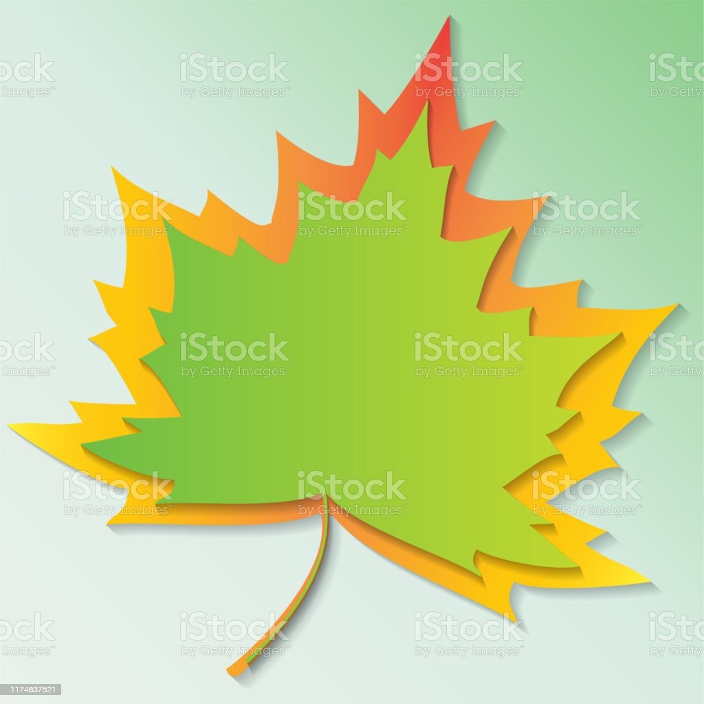 Detail Daun Maple Vector Nomer 30