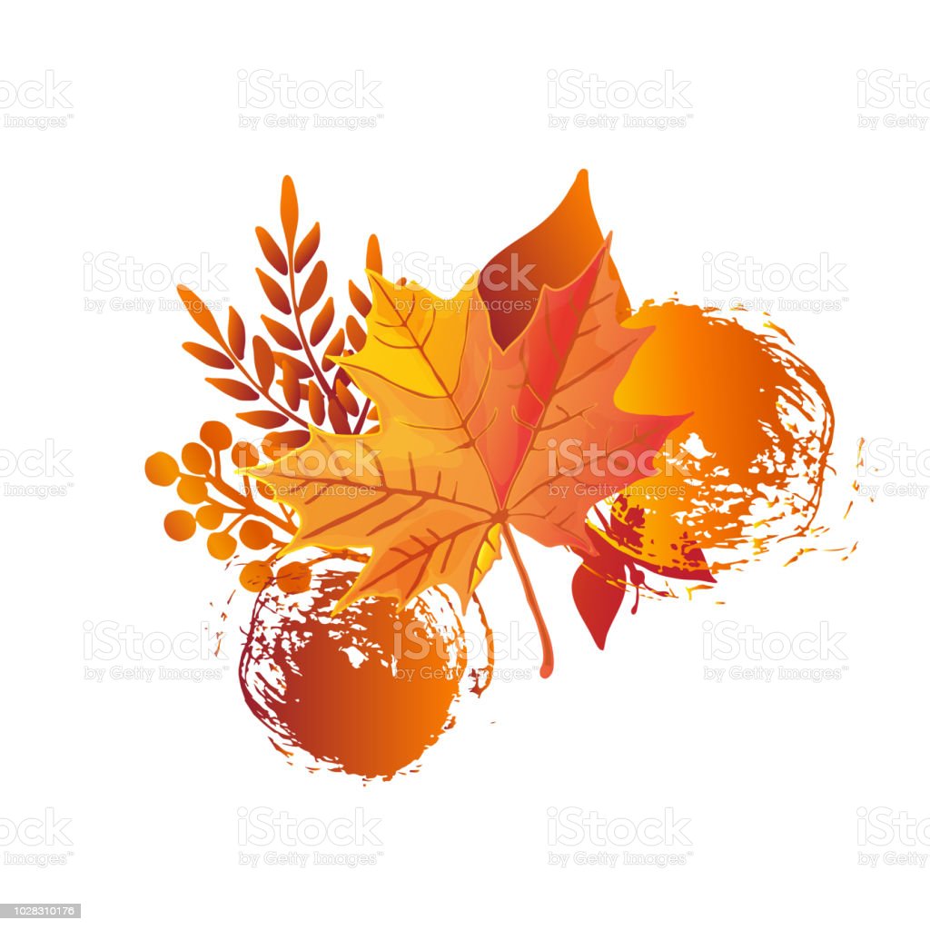 Detail Daun Maple Vector Nomer 31