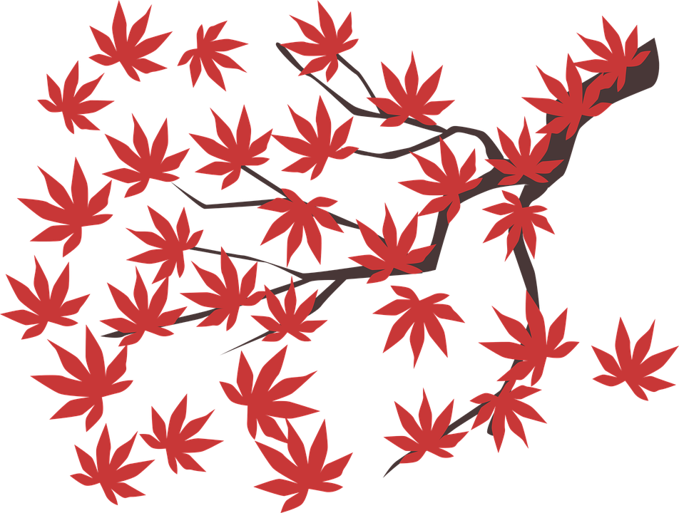 Detail Daun Maple Vector Nomer 32