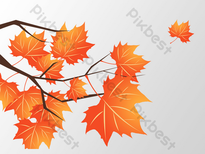 Detail Daun Maple Vector Nomer 37