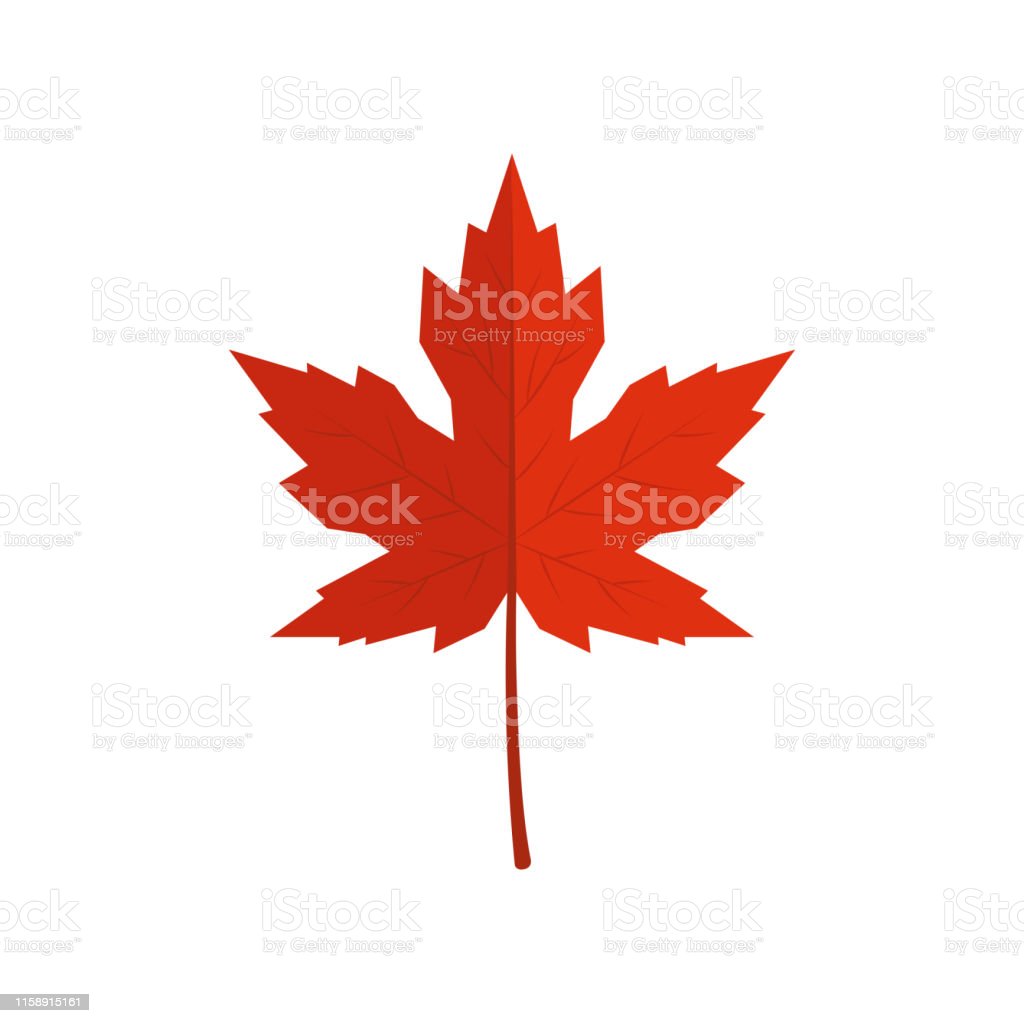 Detail Daun Maple Vector Nomer 5