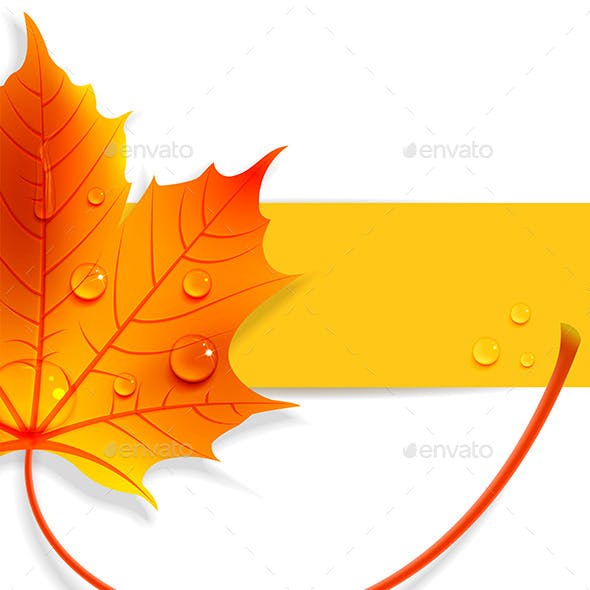 Detail Daun Maple Vector Nomer 40