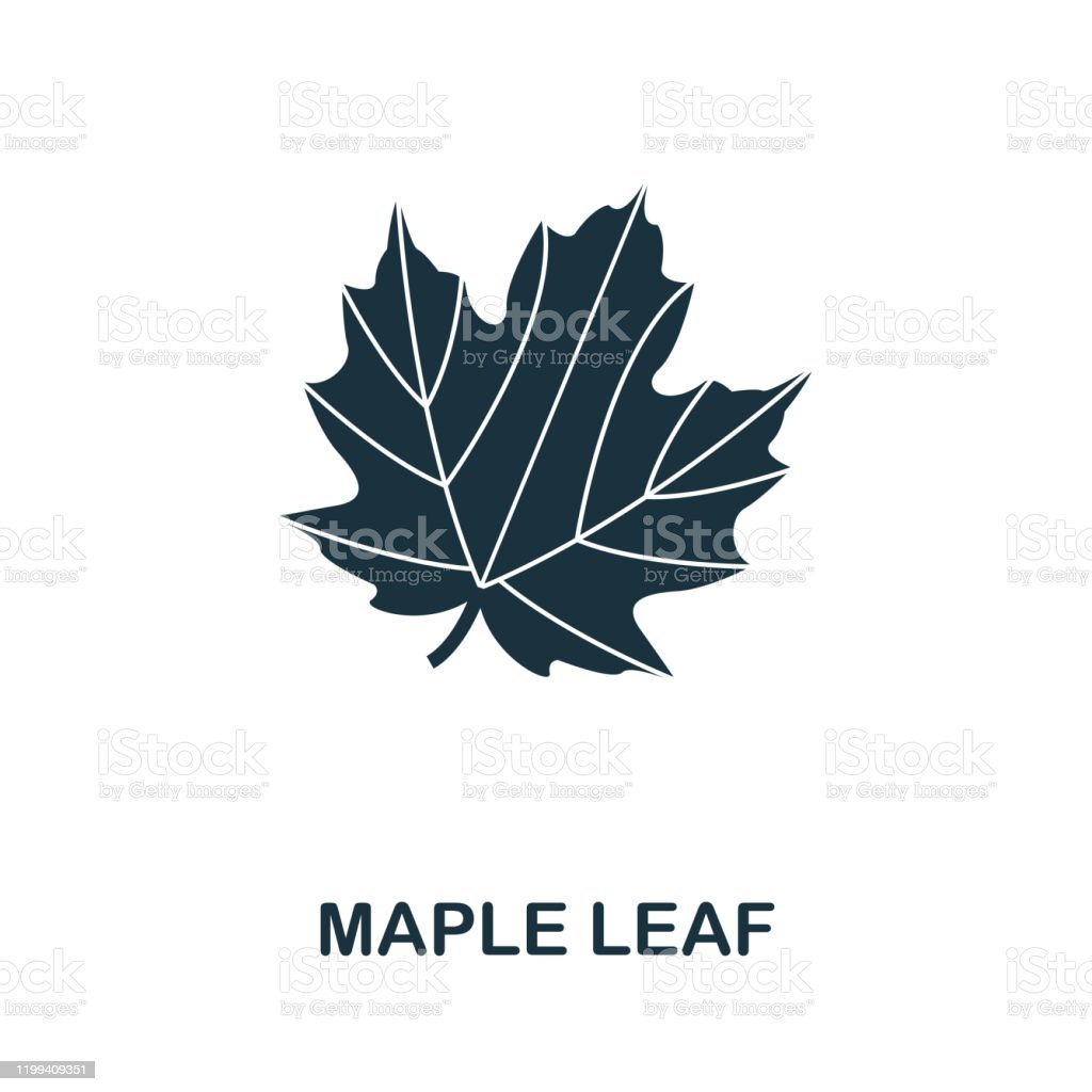Detail Daun Maple Vector Nomer 43