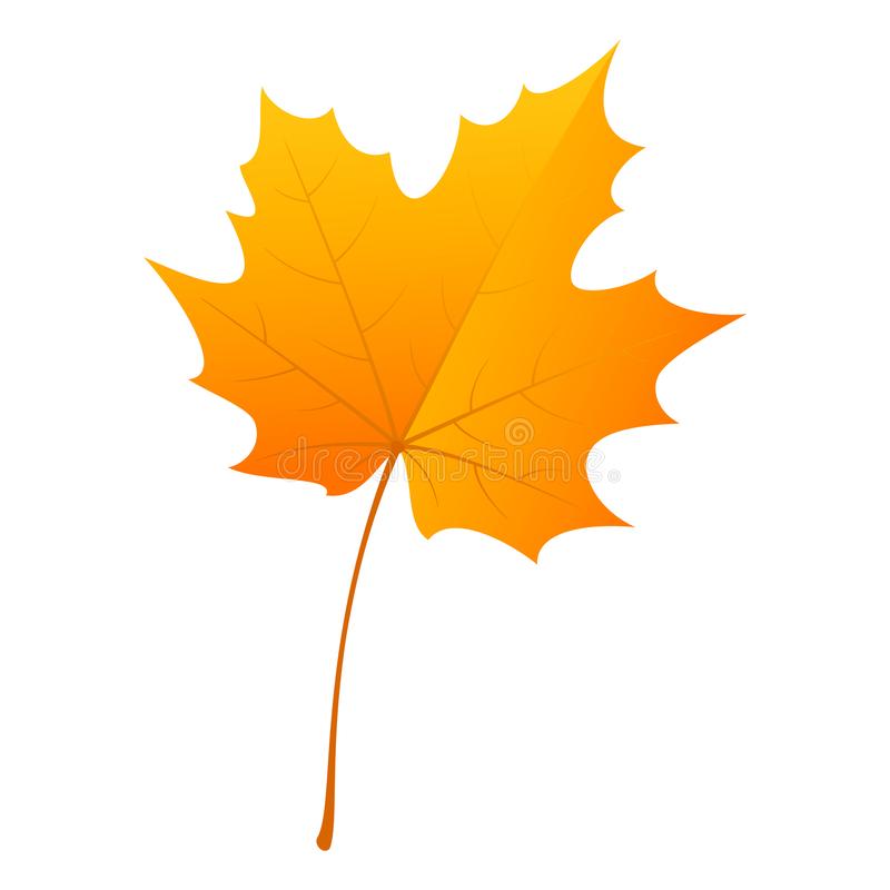 Detail Daun Maple Vector Nomer 44