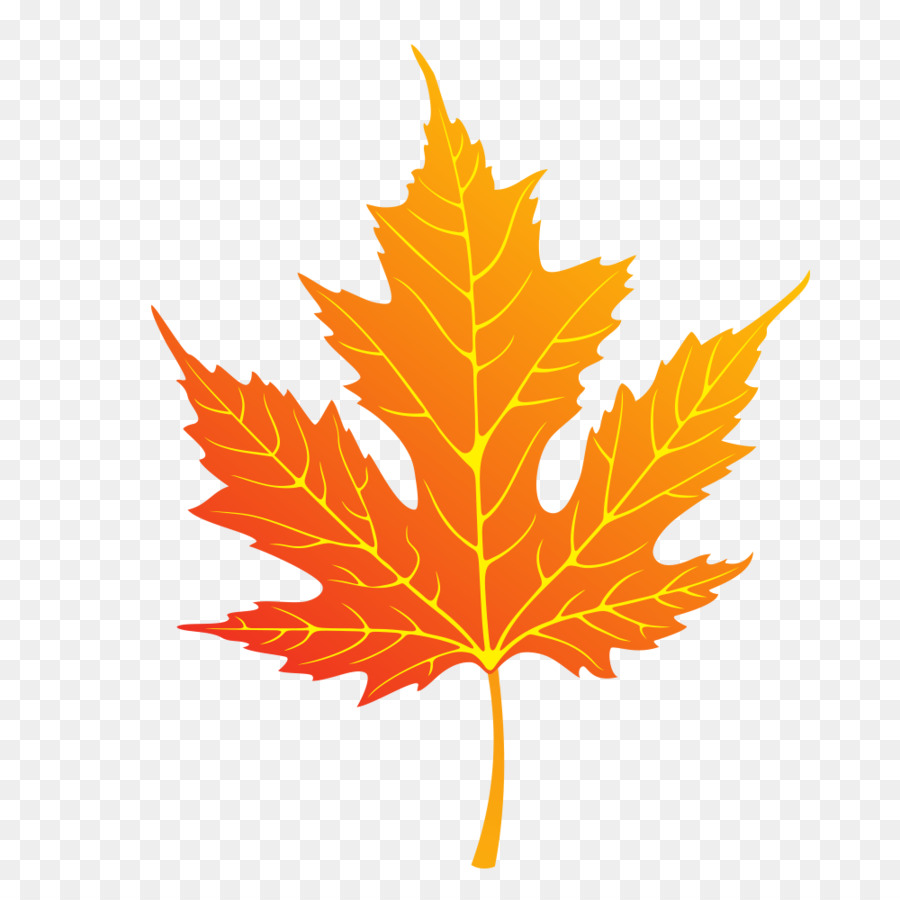 Detail Daun Maple Vector Nomer 6