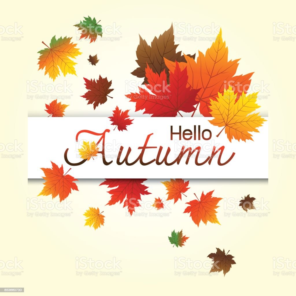 Detail Daun Maple Vector Nomer 48