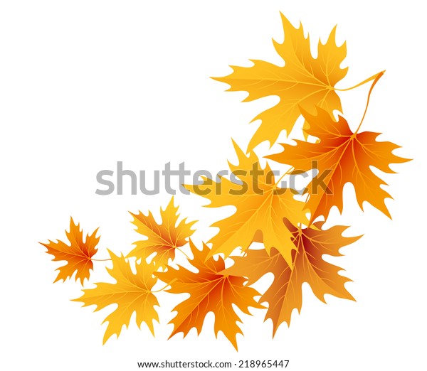 Detail Daun Maple Vector Nomer 50