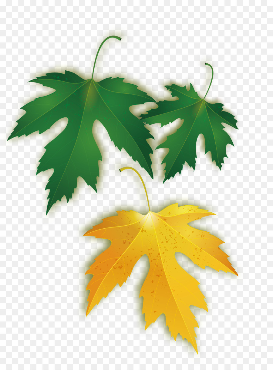 Detail Daun Maple Vector Nomer 54