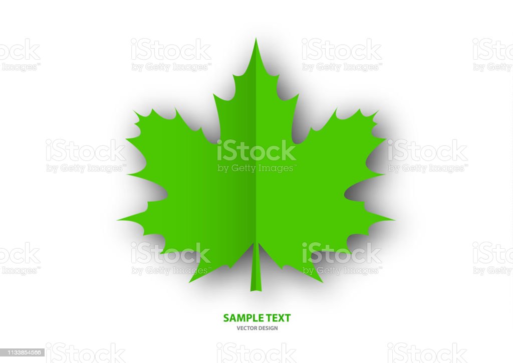Detail Daun Maple Vector Nomer 55