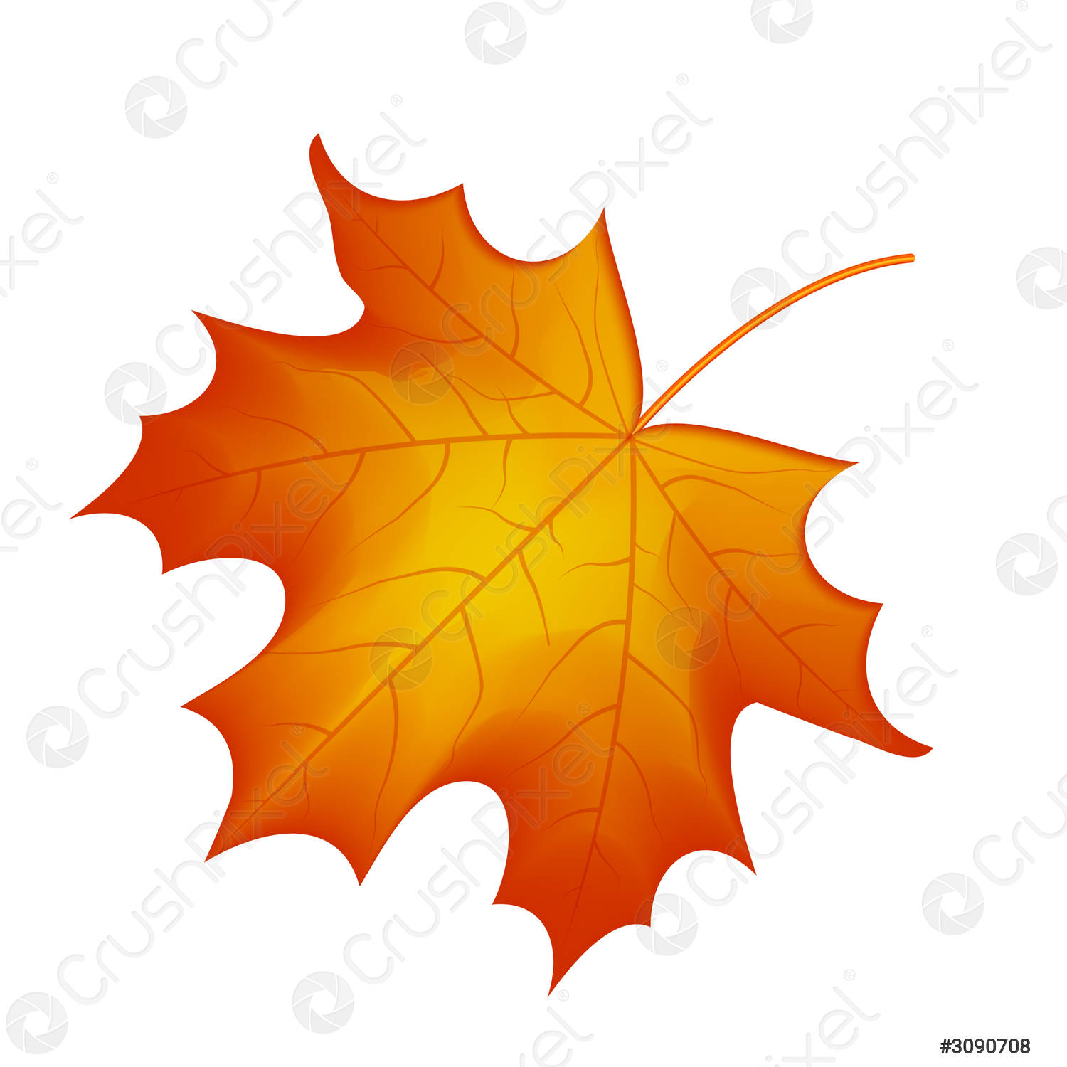 Detail Daun Maple Vector Nomer 7